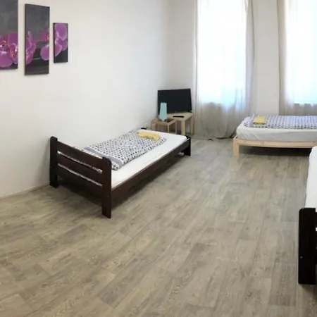 아파트 Apartmans In The Center With Privat Parking