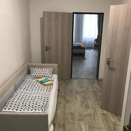 Apartmans In The Center With Privat Parking *