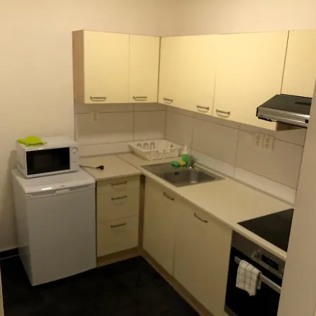 Apartmans In The Center With Privat Parking 아파트 *