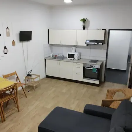 Apartmans In The Center With Privat Parking 아파트