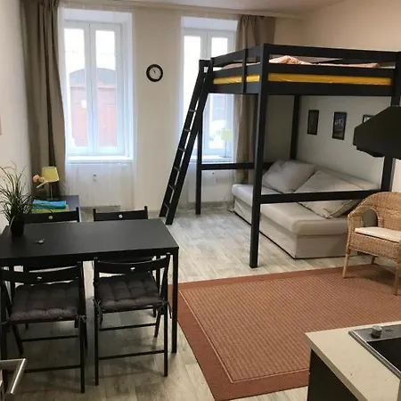 Apartmans In The Center With Privat Parking *