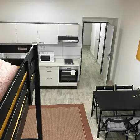 아파트 Apartmans In The Center With Privat Parking