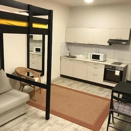 Apartmans In The Center With Privat Parking * 브르노